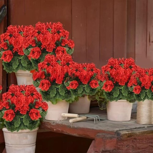Mazzo fiori begonia - mazzo, di