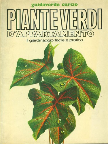 Piante verdi appartamento 7 - piante, d'appartamento
