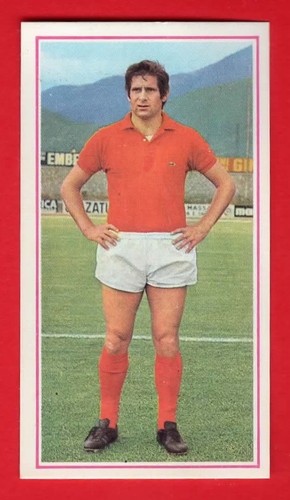 Figurina calciatori panini - figurina,