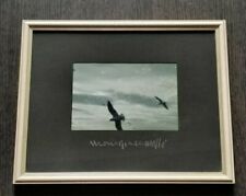  Mario Giacomelli - Gabbiani -