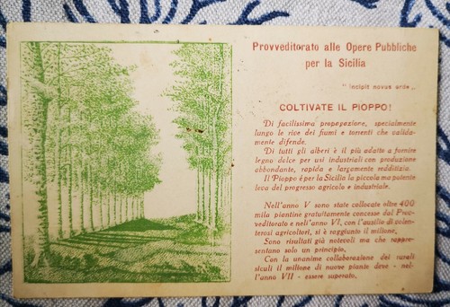 Cartolina provveditorato alle - provveditorato,