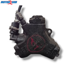 Pompa Gasolio Bosch per Grande