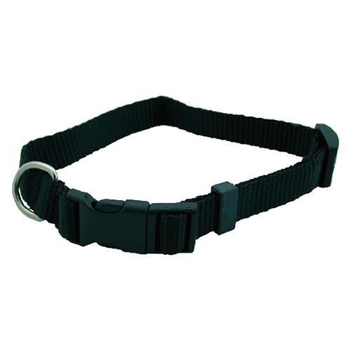Collare per cane - 25, cm