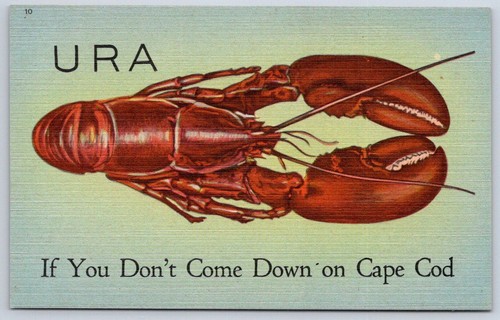 Cartolina epoca - cartolina, d'epoca