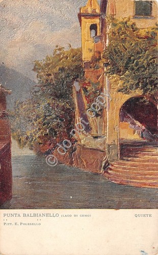 Cartolina illustrata polesello - cartolina,