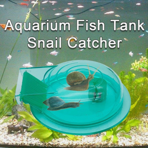 Trappola per lumache - , acquario