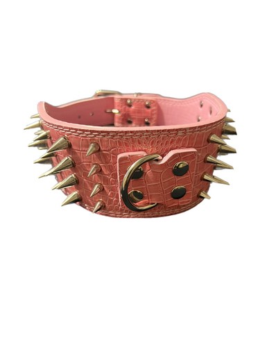 Collare per cani con borchie - , a