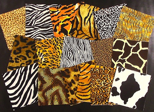 Quadrati animali - (51), 5"