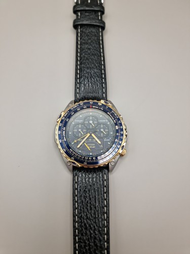 Citizen promaster wingman - ,