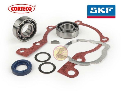Kit cuscinetti revisione