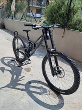 santa cruz v10