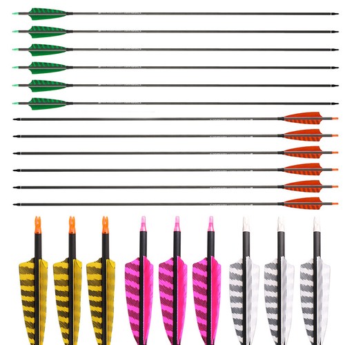 Carbonio frecce spine - in,