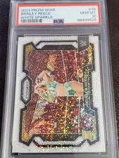 Brinley Reece 2024 Panini WWE