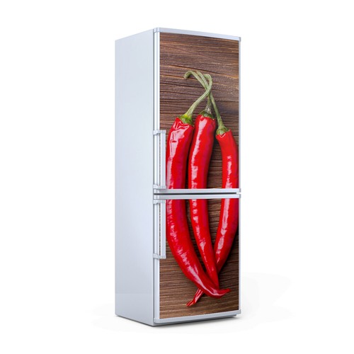 Calamite frigo decorazione