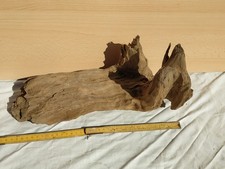 acquario legno ulivo terrario decorazione 37 cm circa