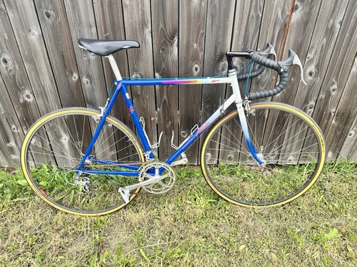 David tesch specialized - ‘87,