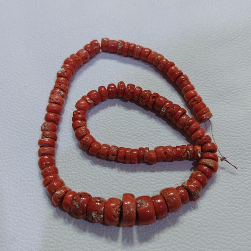 Autentico corallo rosso
