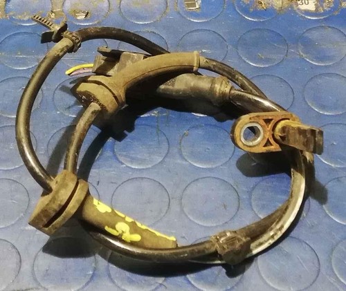 Sensore abs ant - ford, b