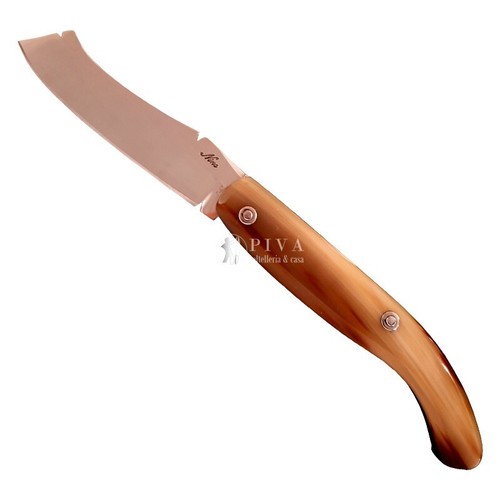 Coltello mozzetta guardiagrele - mozzetta,