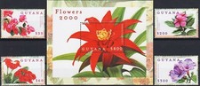 Guyana 2000 Fiori Foresta Pluviale Stella Scarlatta Bouganvillea Gloria del Mattino MNH