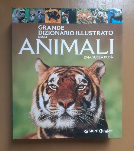 Grande dizionario illustrato - grande,
