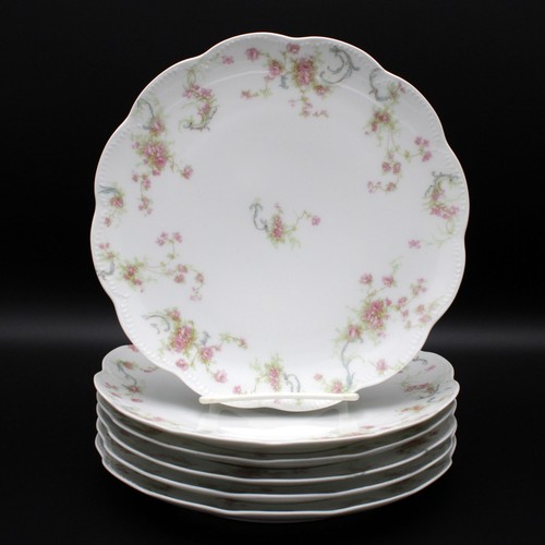 Set piatti pranzo - piatti, haviland