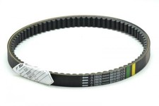 1A011455 CINGHIA TRASMISSIONE