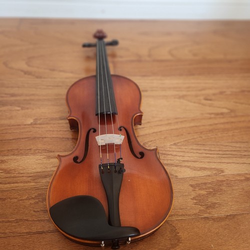 Advanced size violin with - advanced,