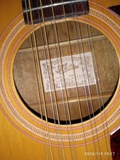 chitarra acustica aria 12 corde