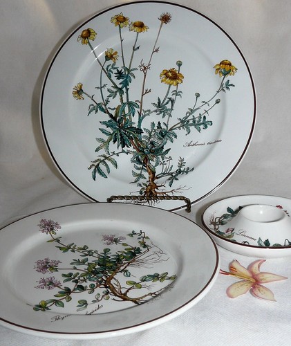 Villeroy boch b - boch, botanica