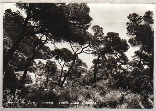 70171 varazze - 70171, (savona)