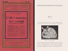Venino P.,  1936 -