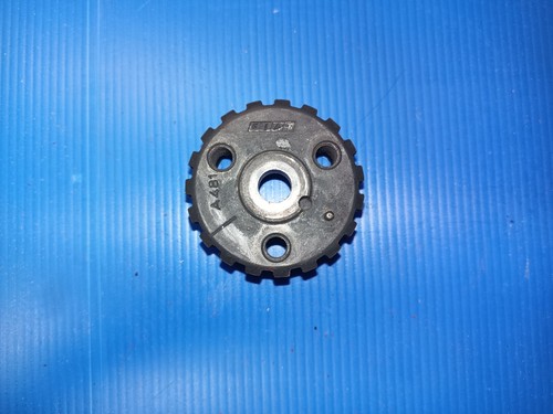 Ruota dentata ingranaggio