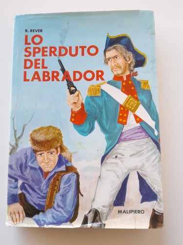 Sperduto del labrador - labrador,