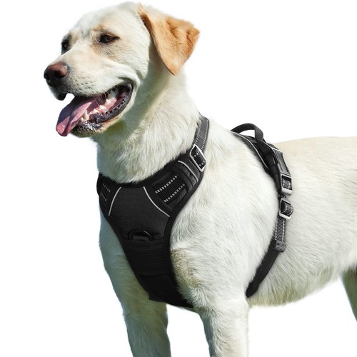 Eagloo pettorina cane taglia - eagloo,