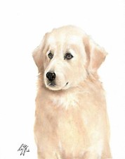 ❈ Dipinto ritratto olio