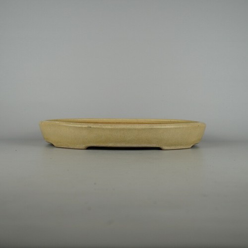 Vaso per bonsai giapponese