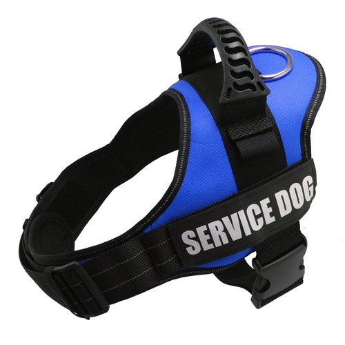Pettorina cane riflettente - cane,
