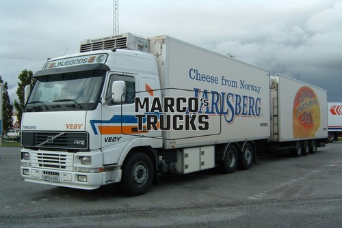 Truck photo volvo fh12 460 - truck,