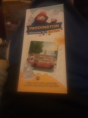 Paddington bear afternoon - bear,