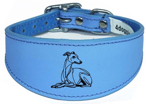 Sighthound lurcher whippet - sighthound,