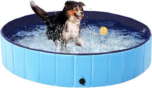 Piscina per cani - piscina,