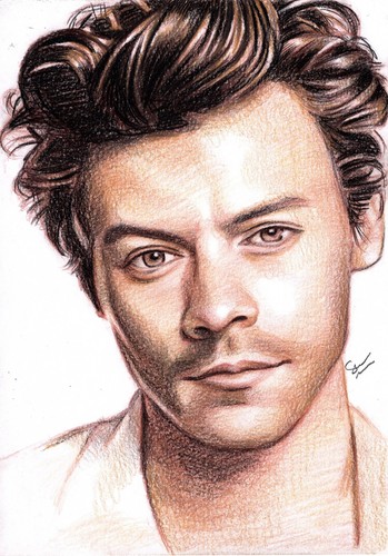 Disegno originale harry - disegno,