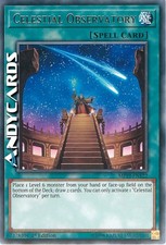 CELESTIAL OBSERVATORY