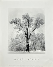 Stampa fotografica Ansel Adams