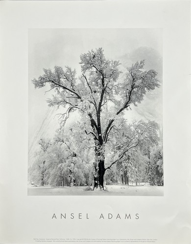 Stampa fotografica ansel - stampa,