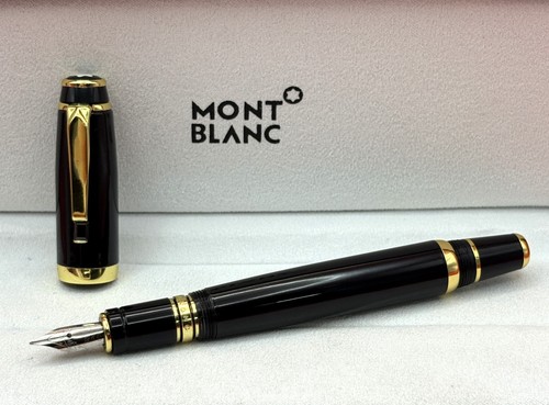 Penna stilografica premium - penna,