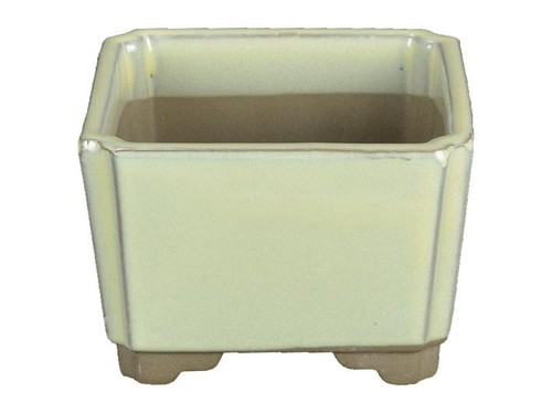 Vaso per bonsai giapponese - vaso,