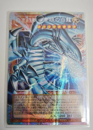 Drago bianco occhi blu - drago,