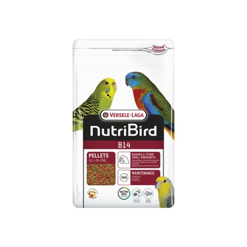 B14 800 alimento - g, di
